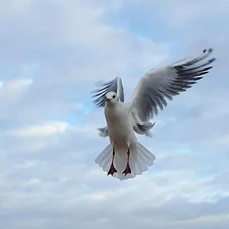 Apartamento Haus Juliana - Exklusiv Wohnen In Einem Baederarchitektur Haus