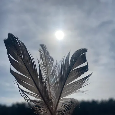 Haus Juliana - Exklusiv Wohnen In Einem Baederarchitektur Haus *