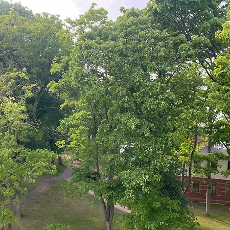 Apartamento Haus Juliana - Exklusiv Wohnen In Einem Baederarchitektur Haus Heringsdorf (Usedom)
